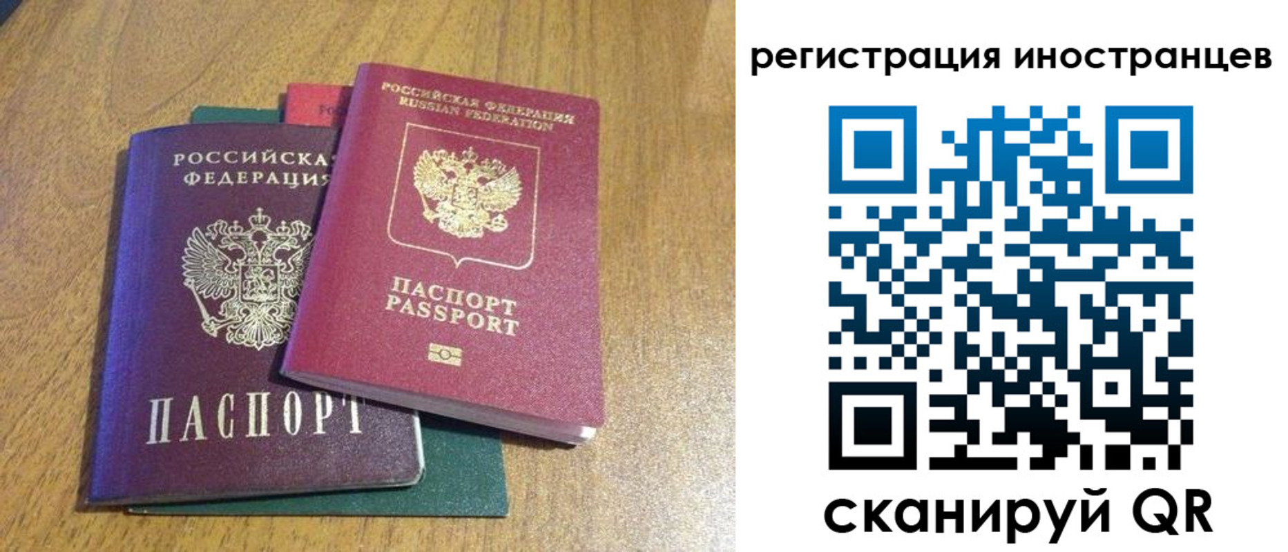 временная регистрация поиск в Камчатской области